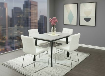 Avery Extending Dining Table &  Sled Chairs