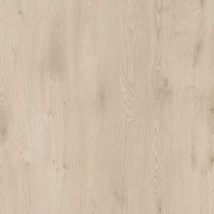 TIBET 12mm Laminate Flooring